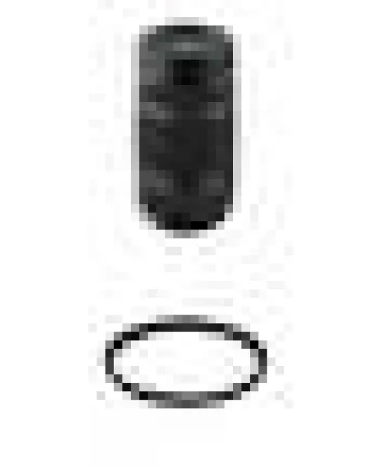 FUJIFILM XF 70-300mm f/4-5.6 R LM OIS WR Telephoto Zoom Lens with UV Filter Kit for Fujifilm X-Mount APS-C Mirrorless Cameras