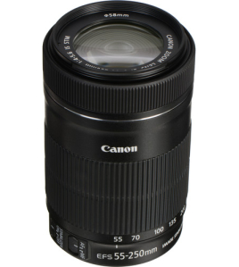 Canon EF-S 55-250mm f/4-5.6 IS STM Telephoto Zoom Lens for Canon APS-C DSLR Cameras