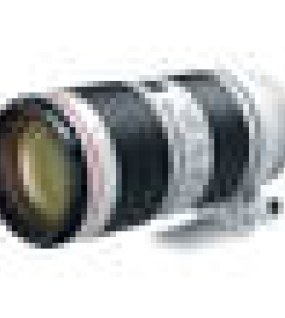 Canon EF 70-200mm f/2.8L IS III USM Professional Telephoto Zoom Lens for Canon EF Full-Frame DSLR Cameras