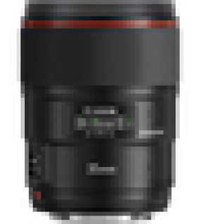 Canon EF 35mm f/1.4L II USM Professional L-Series Wide-Angle Prime Lens for Canon EF Full-Frame DSLR Cameras